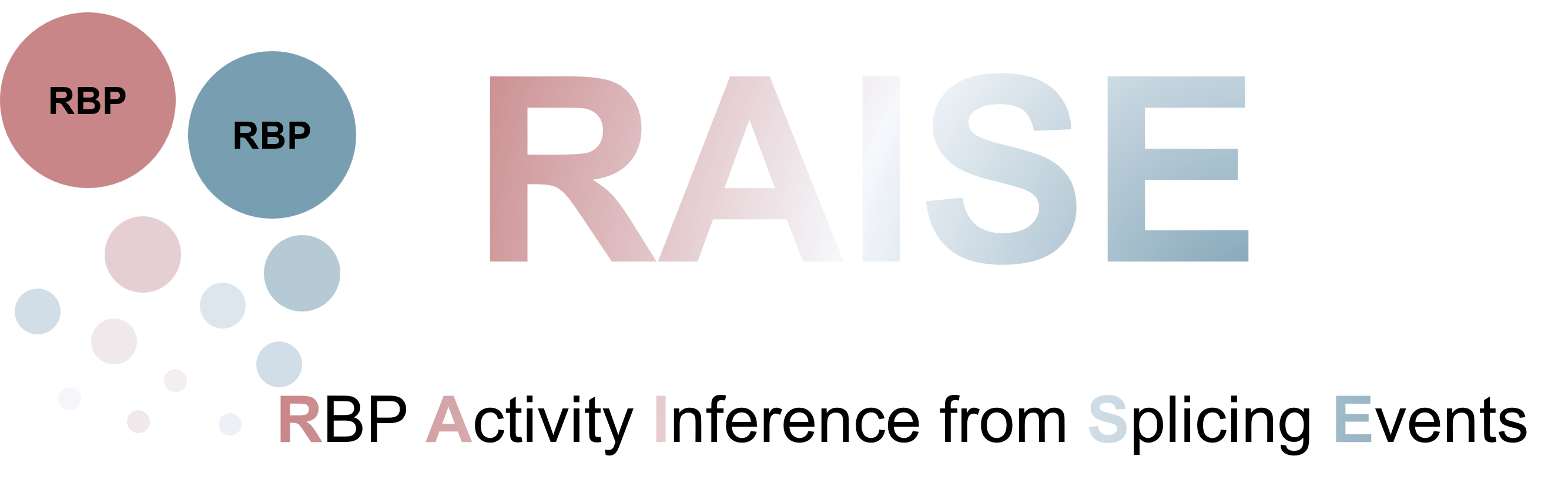 RAISE Icon